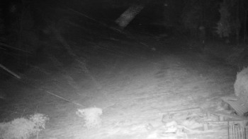 Chata Myslivna SKP Olomouc