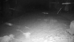 Běžecký lyžařský areál Nová Ves