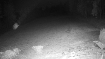 Chata Myslivna SKP Olomouc