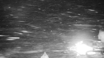 Chata Myslivna SKP Olomouc