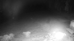 Běžecký lyžařský areál Nová Ves