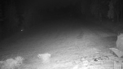 Běžecký lyžařský areál Nová Ves