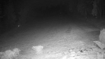 Chata Myslivna SKP Olomouc