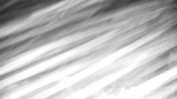 Chata Myslivna SKP Olomouc