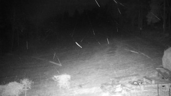 Chata Myslivna SKP Olomouc