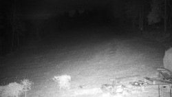 Běžecký lyžařský areál Nová Ves