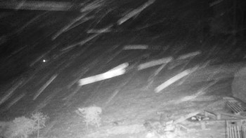 Chata Myslivna SKP Olomouc