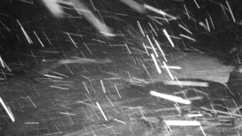 Chata Myslivna SKP Olomouc