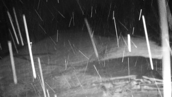 Chata Myslivna SKP Olomouc