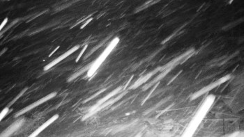 Chata Myslivna SKP Olomouc