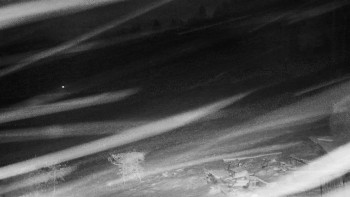 Chata Myslivna SKP Olomouc