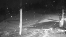 Běžecký lyžařský areál Nová Ves