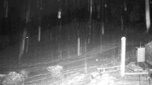 Chata Myslivna SKP Olomouc - Běžecký lyžařský areál Nová Ves - 1.1.2026 v 01:30