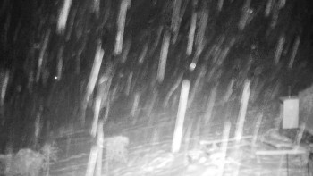 Chata Myslivna SKP Olomouc