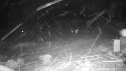 Běžecký lyžařský areál Nová Ves