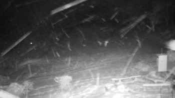 Chata Myslivna SKP Olomouc