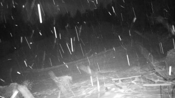 Chata Myslivna SKP Olomouc