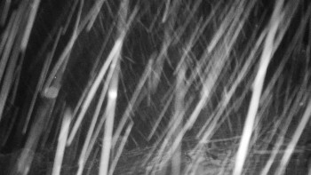 Chata Myslivna SKP Olomouc