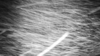 Chata Myslivna SKP Olomouc