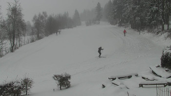 Chata Myslivna SKP Olomouc