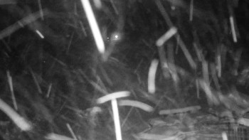 Chata Myslivna SKP Olomouc