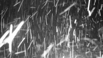 Chata Myslivna SKP Olomouc