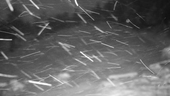 Chata Myslivna SKP Olomouc