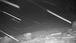 Běžecký lyžařský areál Nová Ves