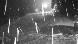 Běžecký lyžařský areál Nová Ves