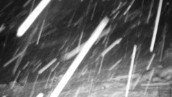 Běžecký lyžařský areál Nová Ves