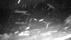 Běžecký lyžařský areál Nová Ves