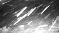 Běžecký lyžařský areál Nová Ves