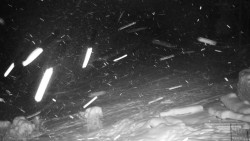 Běžecký lyžařský areál Nová Ves