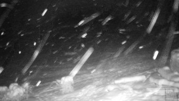 Chata Myslivna SKP Olomouc