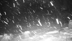 Běžecký lyžařský areál Nová Ves