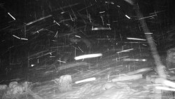 Běžecký lyžařský areál Nová Ves