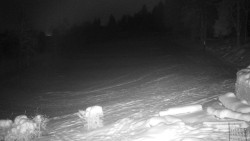 Běžecký lyžařský areál Nová Ves