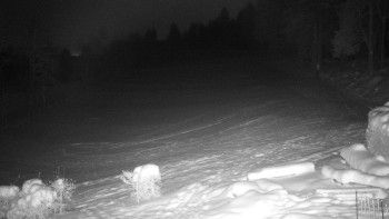 Chata Myslivna SKP Olomouc