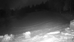 Běžecký lyžařský areál Nová Ves