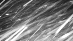 Běžecký lyžařský areál Nová Ves