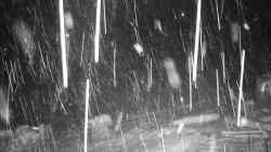 Běžecký lyžařský areál Nová Ves