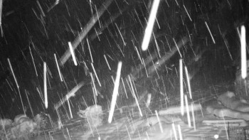 Chata Myslivna SKP Olomouc