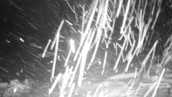 Běžecký lyžařský areál Nová Ves