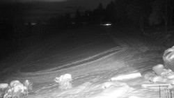 Běžecký lyžařský areál Nová Ves