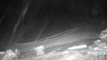 Chata Myslivna SKP Olomouc