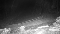 Běžecký lyžařský areál Nová Ves