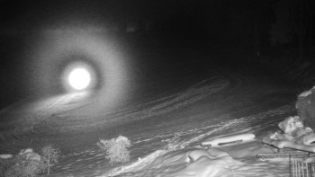 Chata Myslivna SKP Olomouc