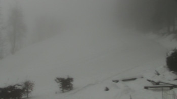 Chata Myslivna SKP Olomouc