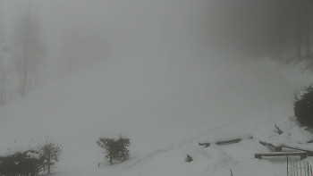 Chata Myslivna SKP Olomouc