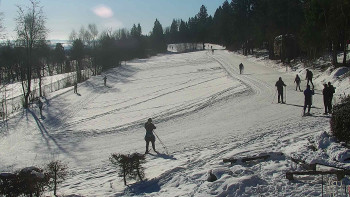 Chata Myslivna SKP Olomouc